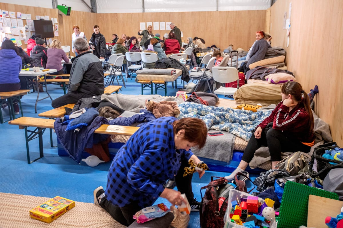 Norwegian authorities reject city council's proposal only to take Ukrainian refugees