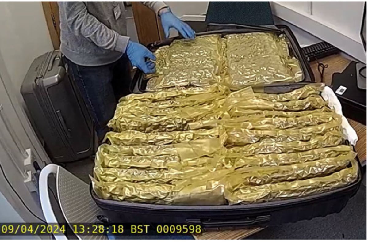 Over £500,000 worth of ‘hybrid Californian’ cannabis seized at HIlton hotel in Watford