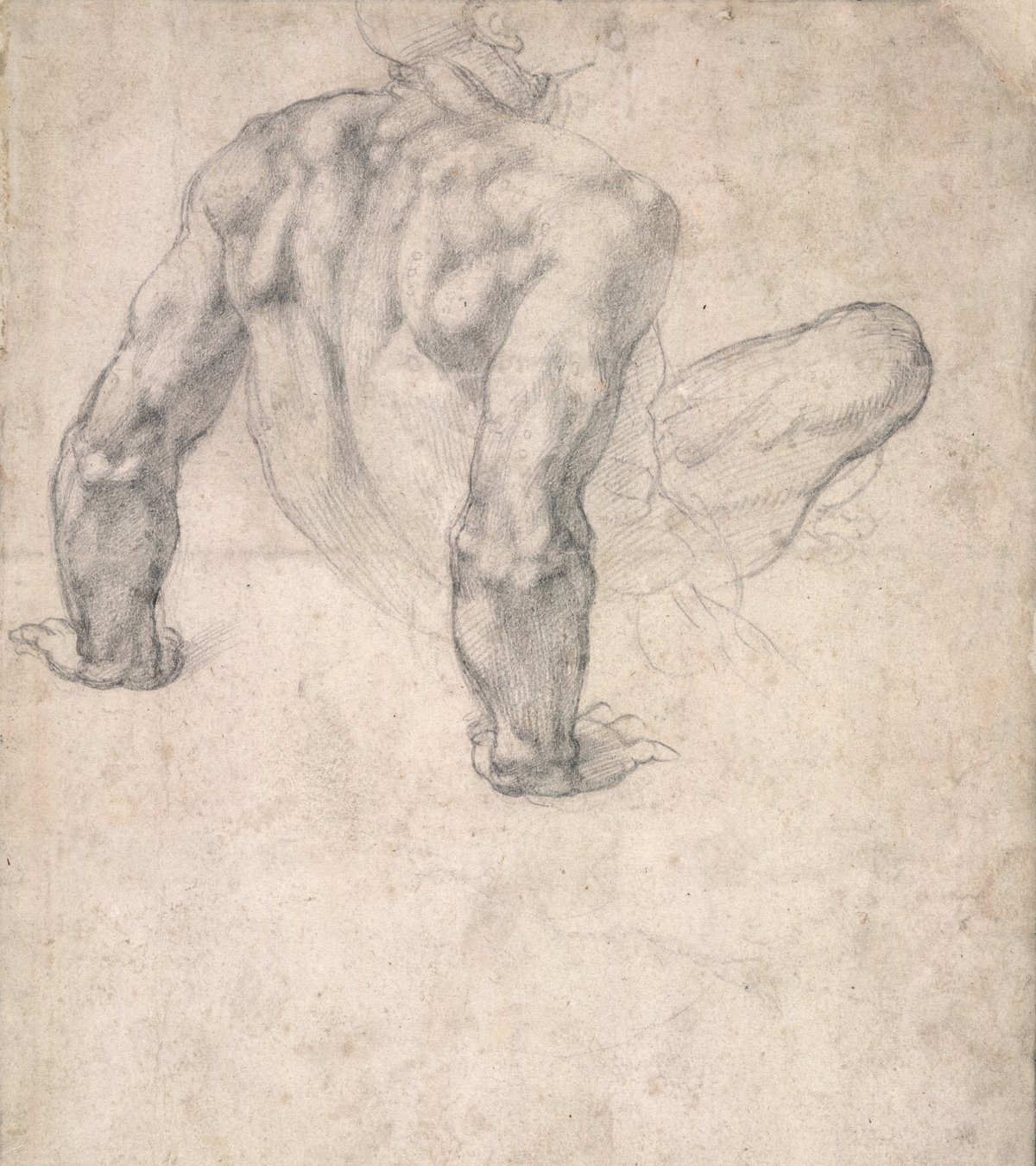 Michelangelo at the British Museum review – displays some of the most beautiful drawings you'll ever see