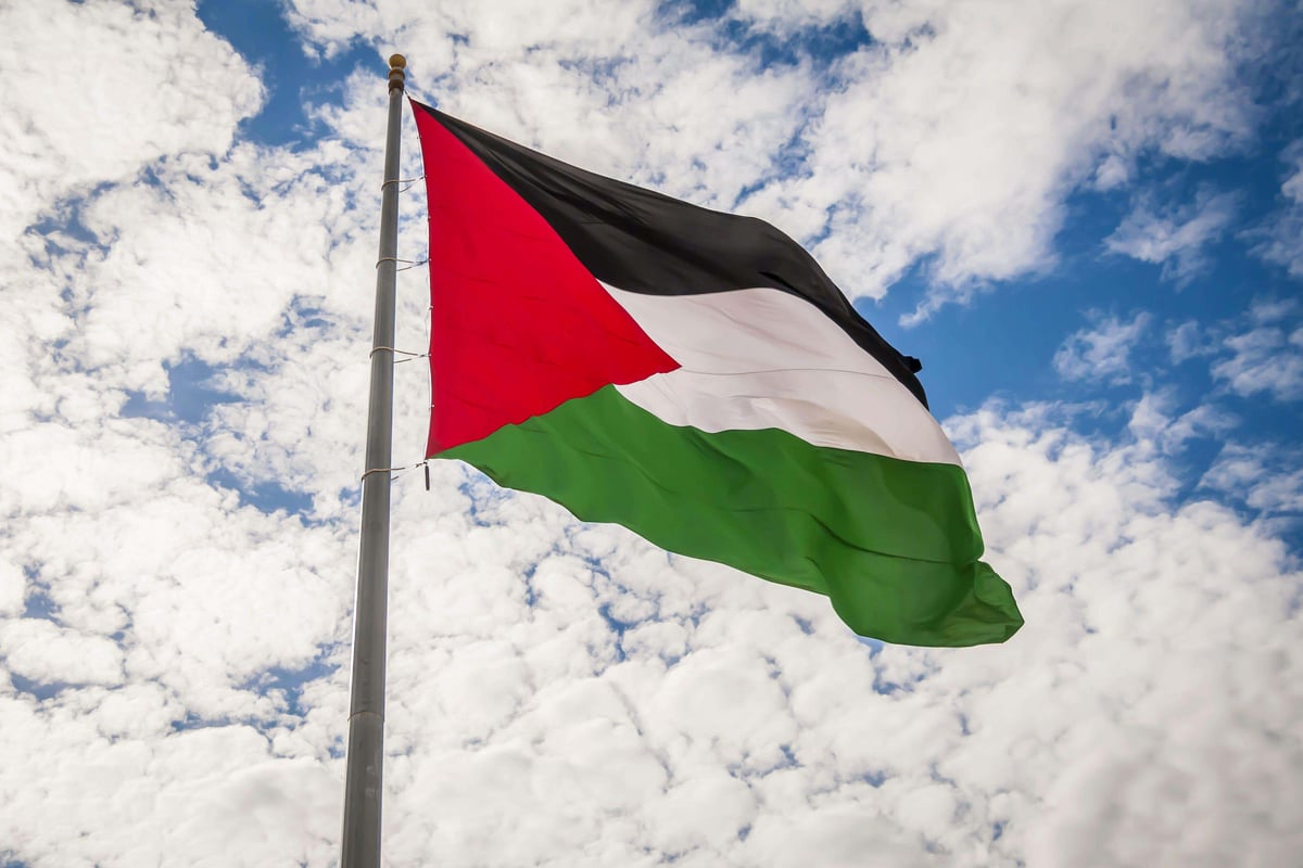 Woman, 74, arrested in Belfast for wearing Palestine Action T-shirt released