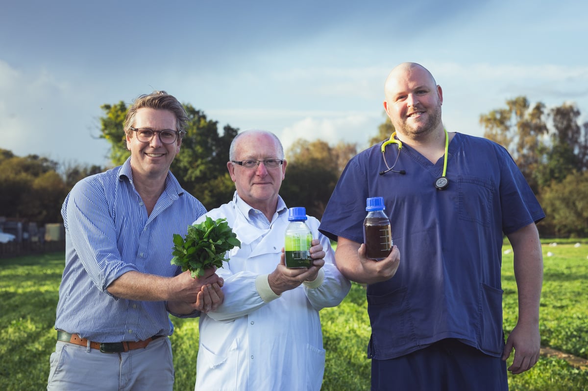 Surplus watercress to be transformed into skincare products to soothe ailments such as nappy rash