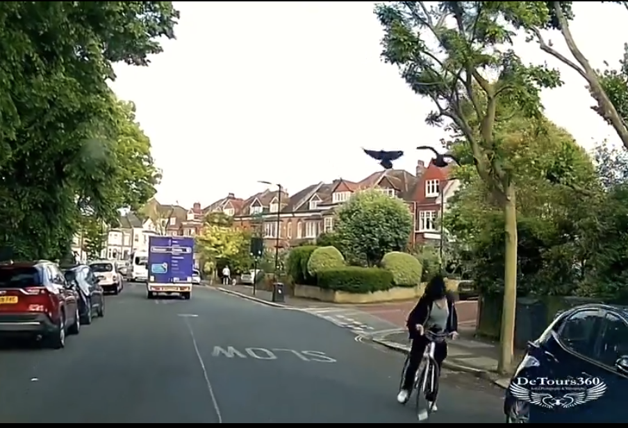 Dulwich: Spate of 'frightening' crow attacks in south London neighbourhood
