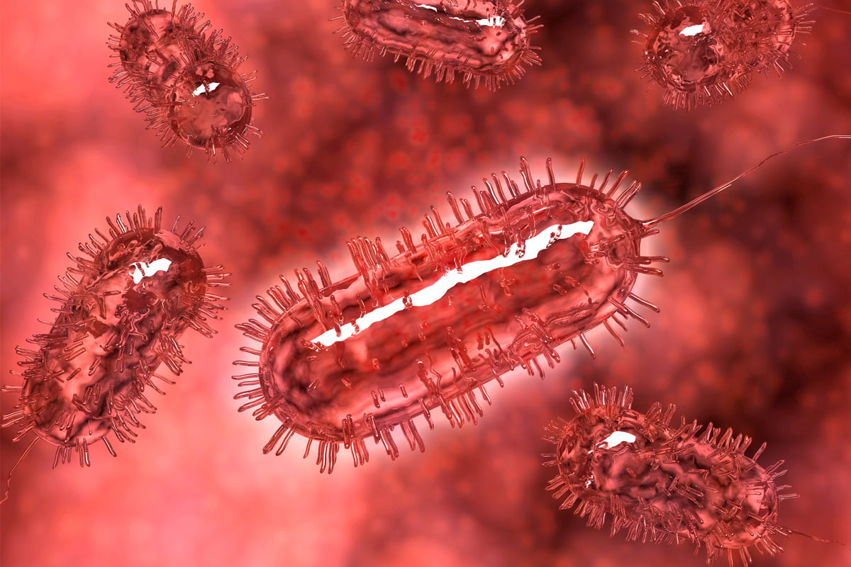 'Nationally distributed' food item believed to be behind UK-wide E. coli outbreak