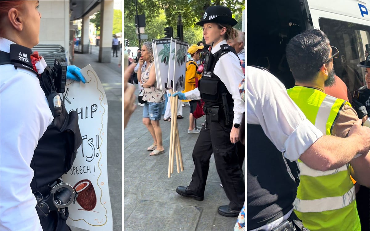 Police seize coconuts and arrest protesters outside court appearance of woman charged over placard