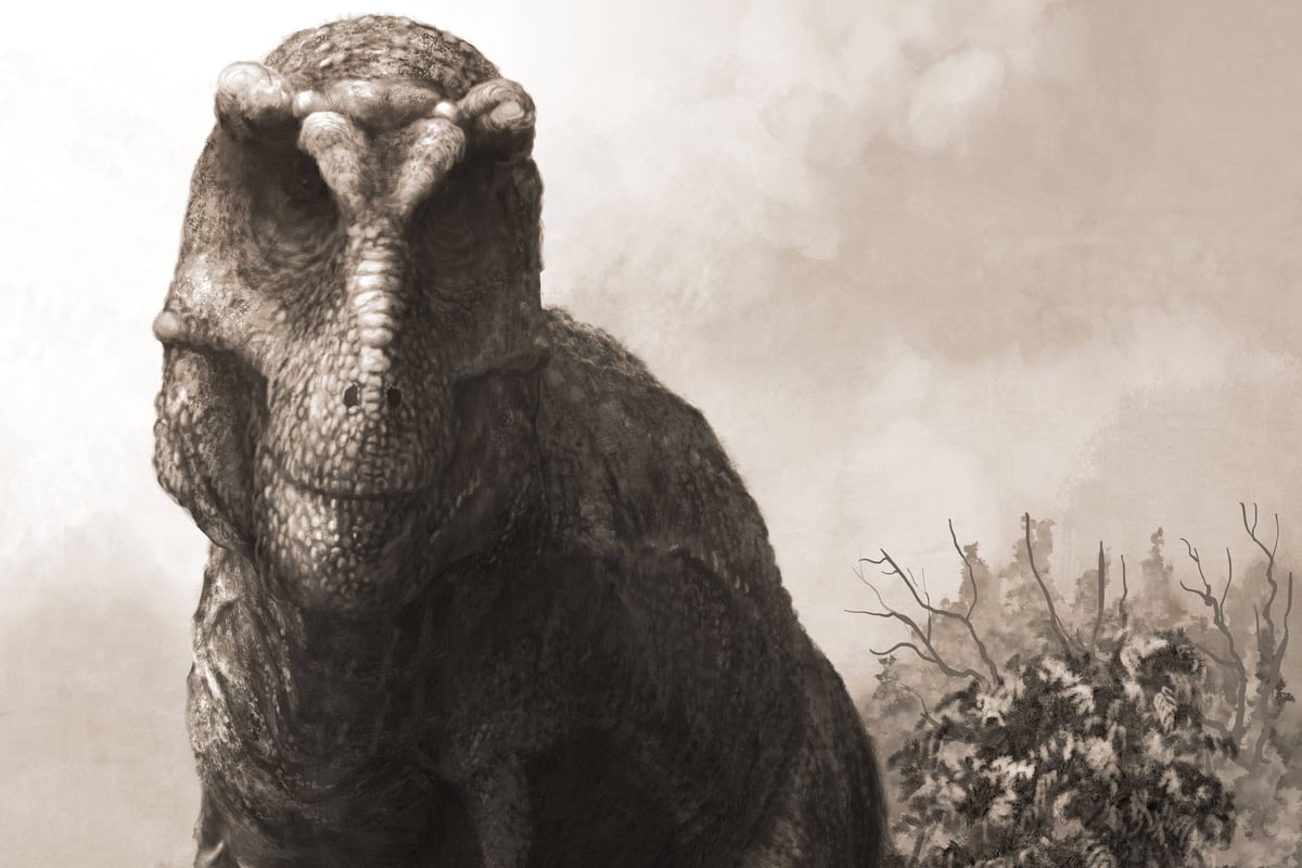 T. rex may have been much heavier and longer than previously thought – study