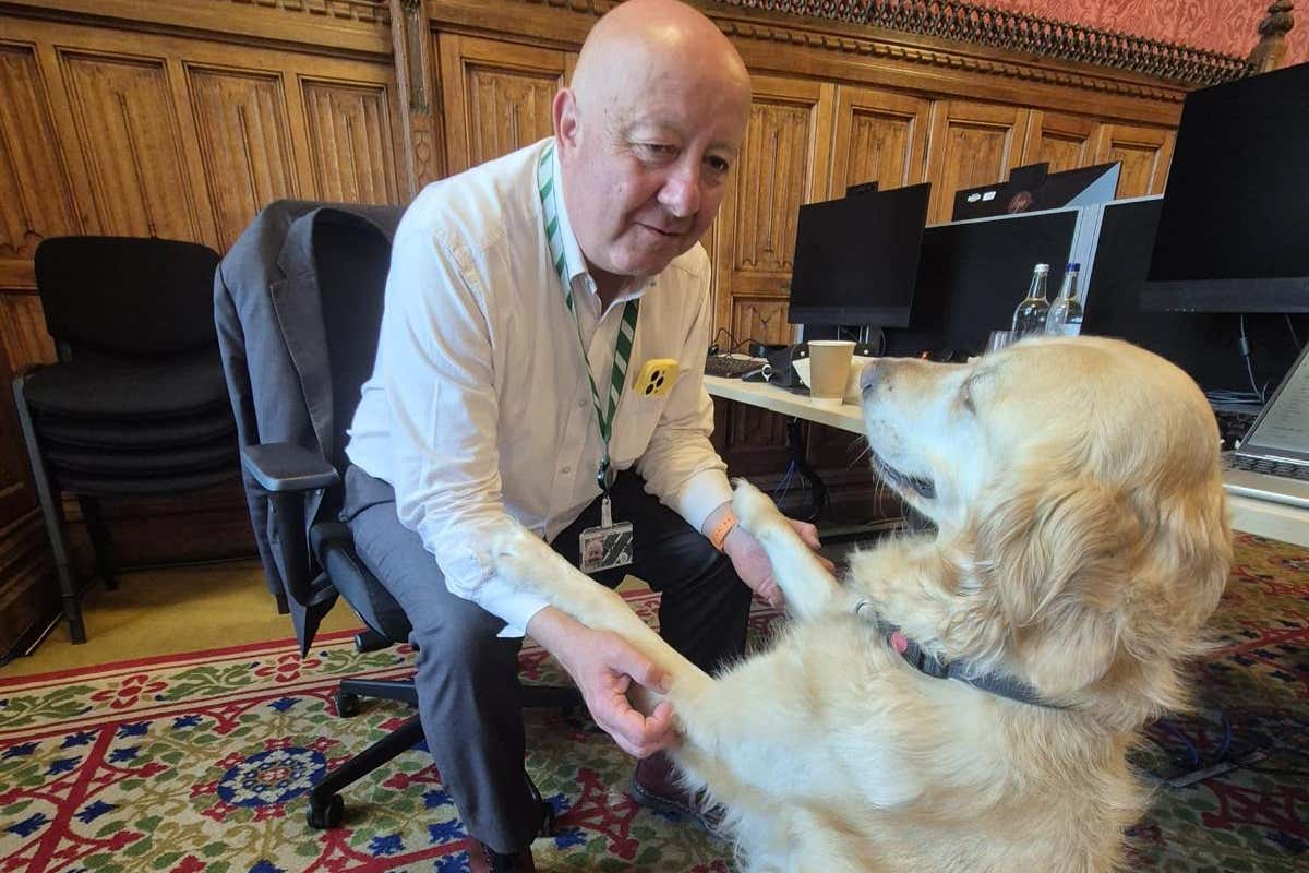 Parliamentary pup Jennie loves a ‘good lie down’ in the Commons chamber