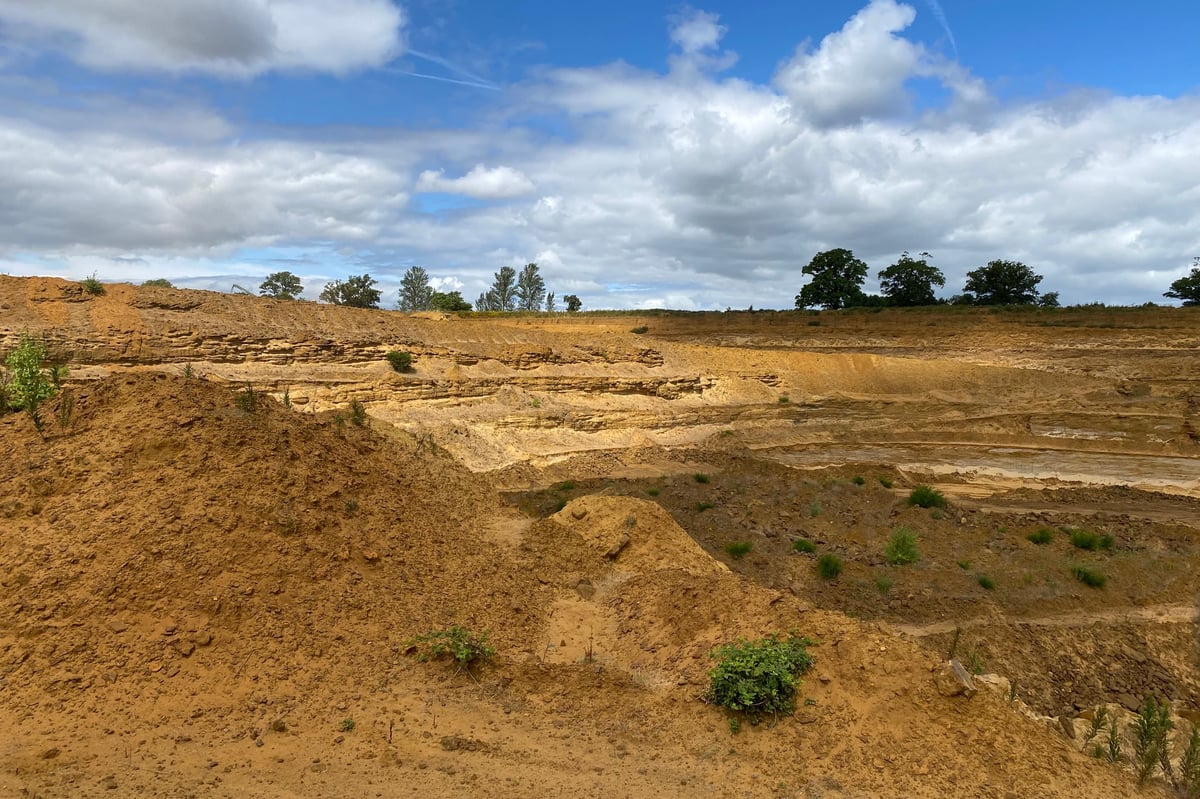 Plant species recorded in Bedfordshire for first time in restored quarry land