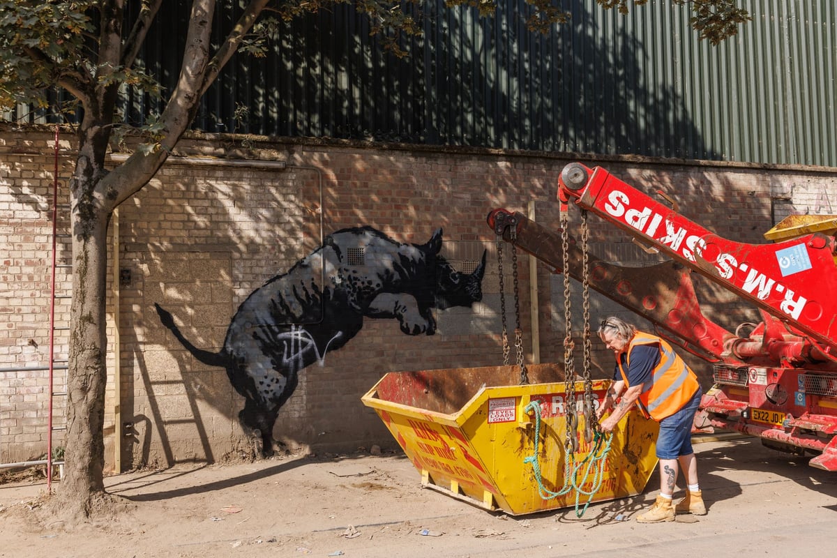 Banksy rhino artwork in Charlton to be protected by screen after defaced by 'mindless vandal' and car removed