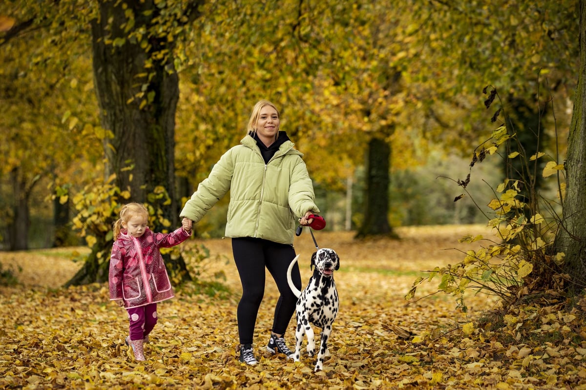 When is International Dog Day 2024 and why is it held?