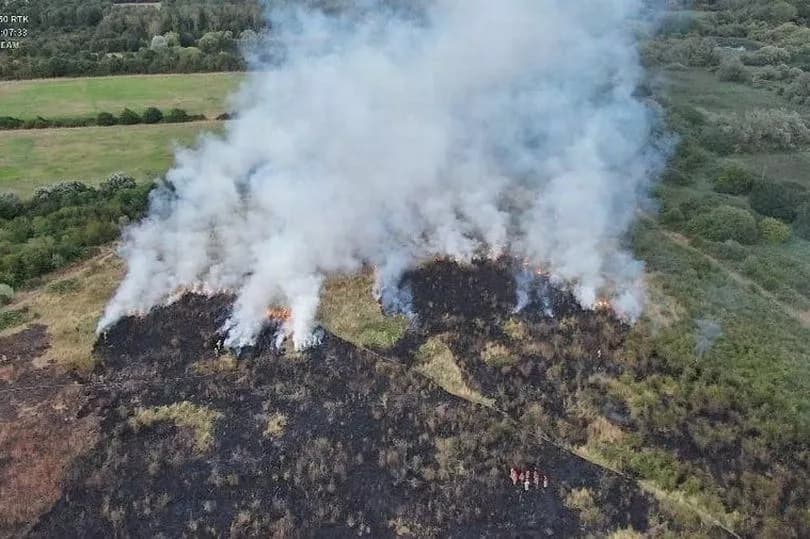 <p>Grass fire in Rainham</p>