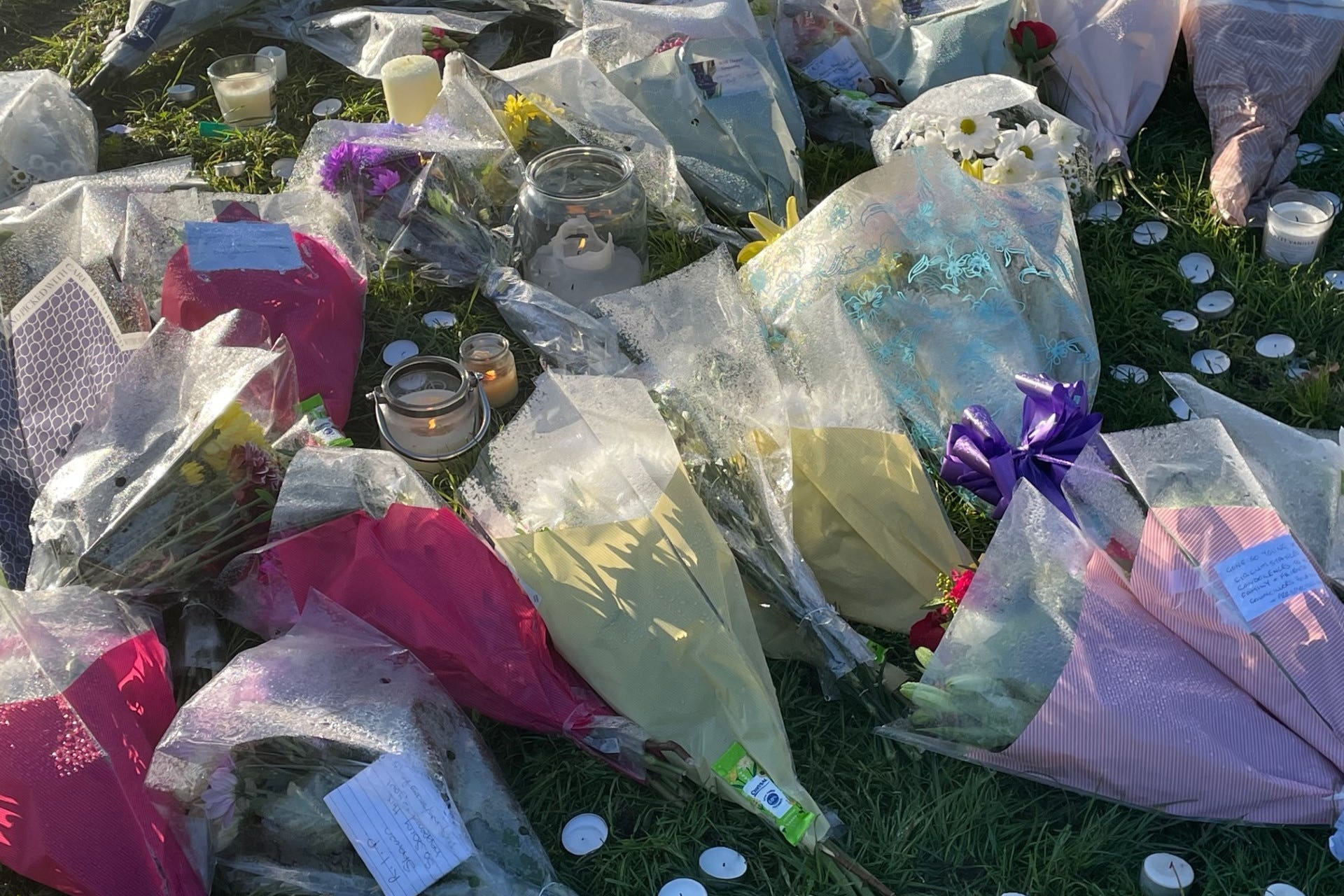Family of Shawn Seesahai describe their pain at his ‘senseless’ machete murder