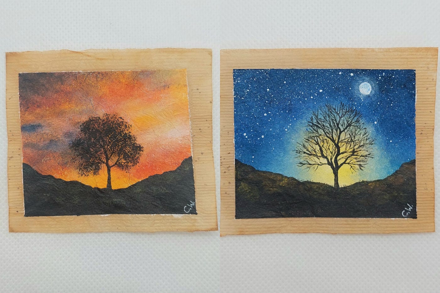 Artist marks year since Sycamore Gap tree felling with painted tea bags tribute