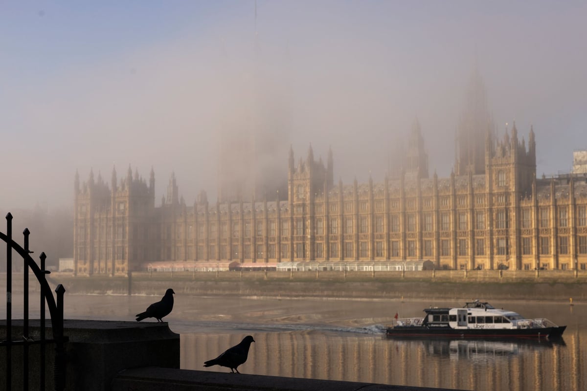Foggy Friday: What causes fog as Londoners warned to take care when travelling