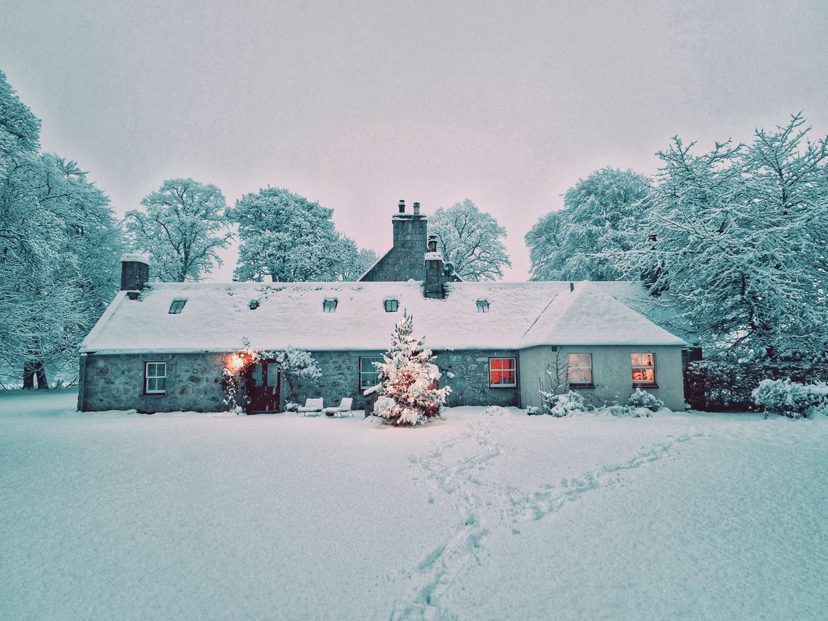 The best UK winter staycation ideas: from a spa break in Richmond to safari in Norfolk