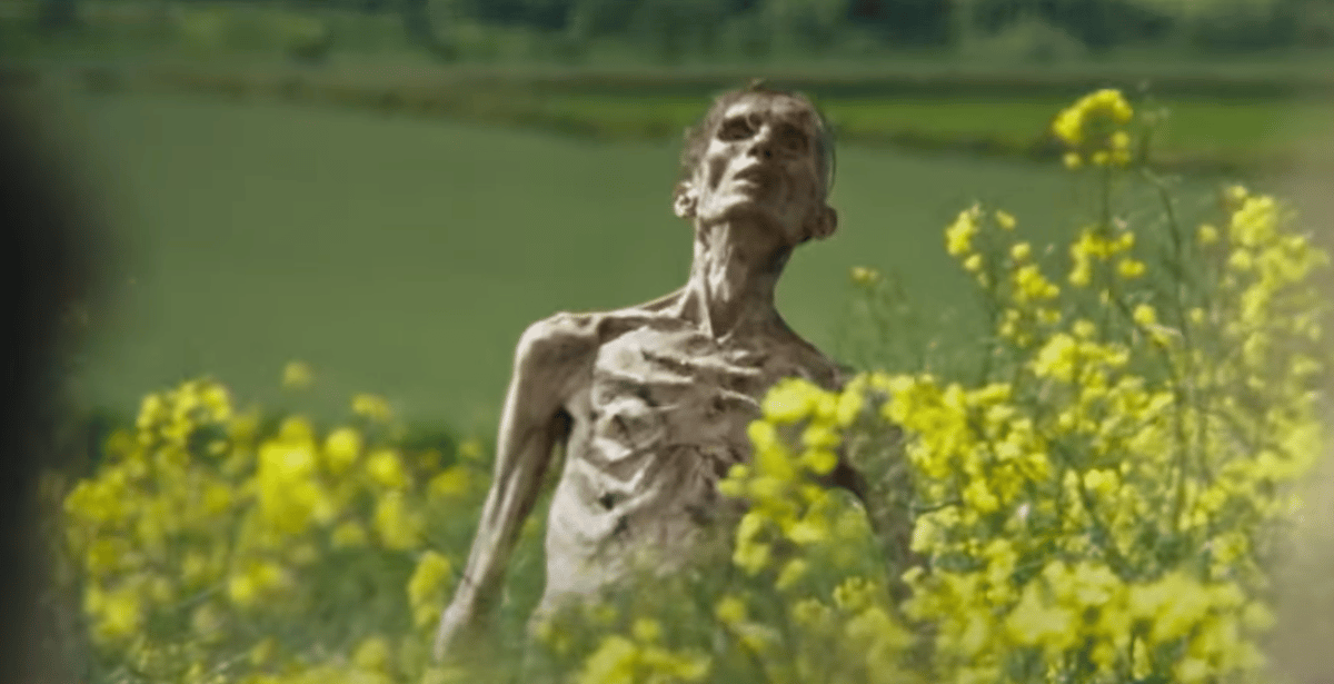  28 Years Later: Identity of 'Cillian Murphy' zombie in sequel trailer is revealed 