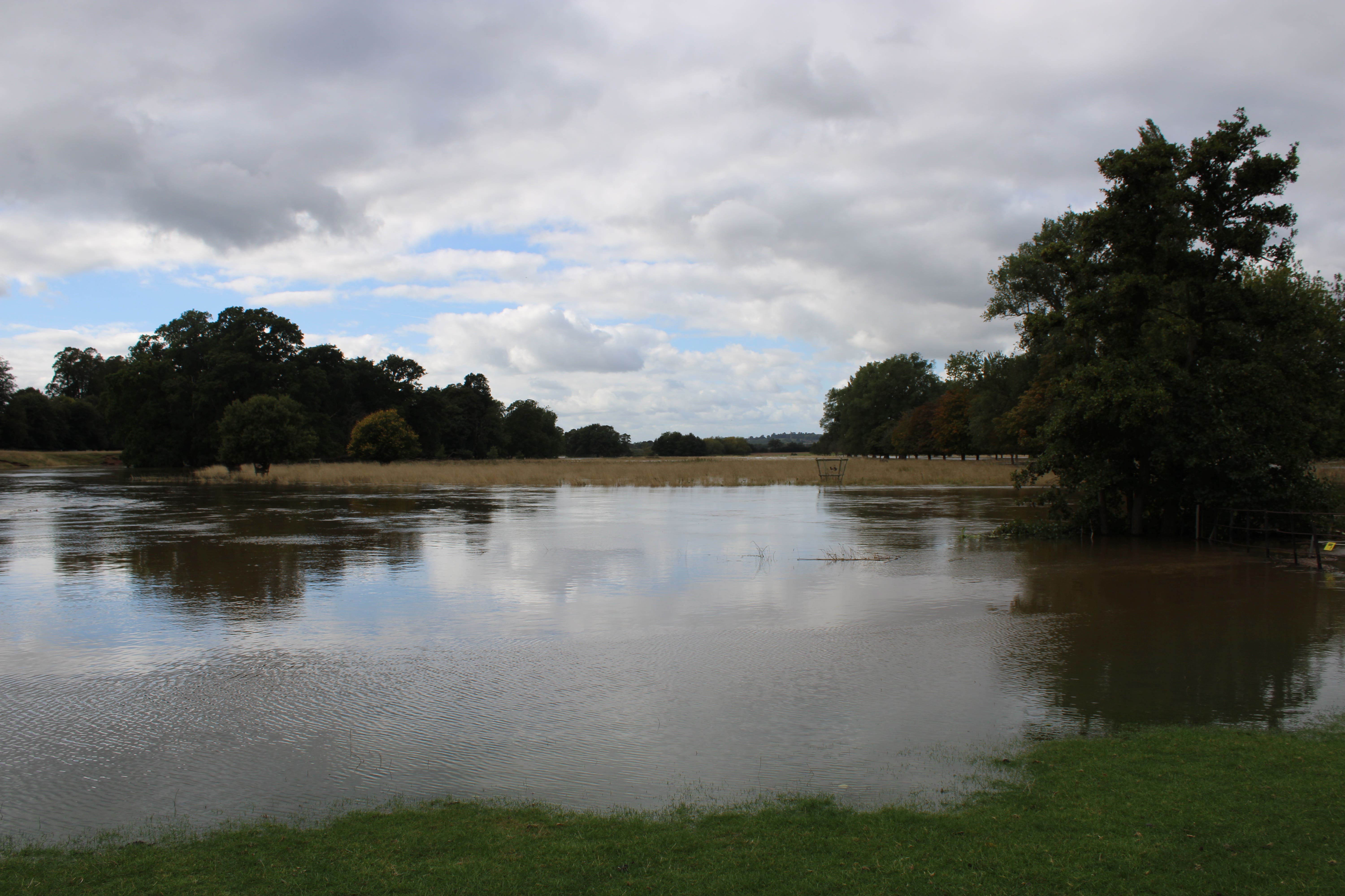 Wildlife faces ‘blurring seasons’ as 2024’s weather brings mixed fortunes