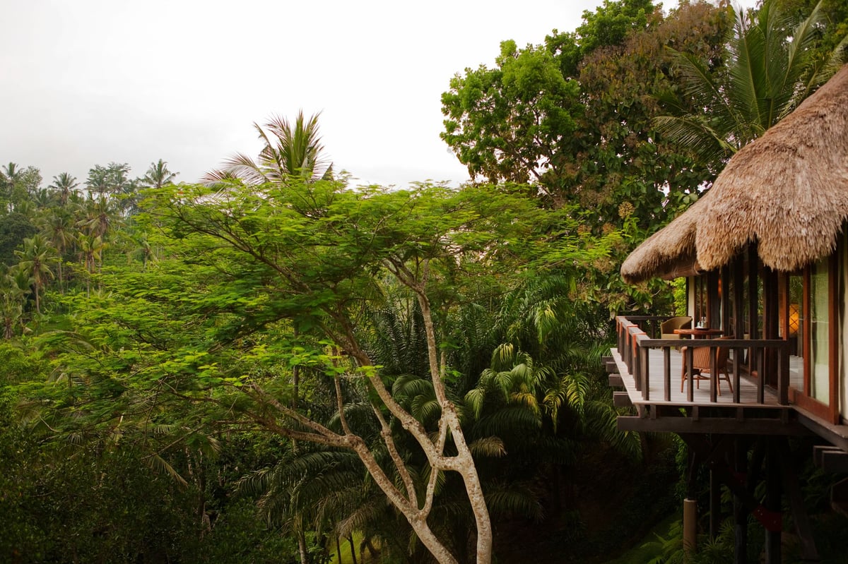 Travel insiders' favourite hotels of 2024: the best stays from Bali to Georgia