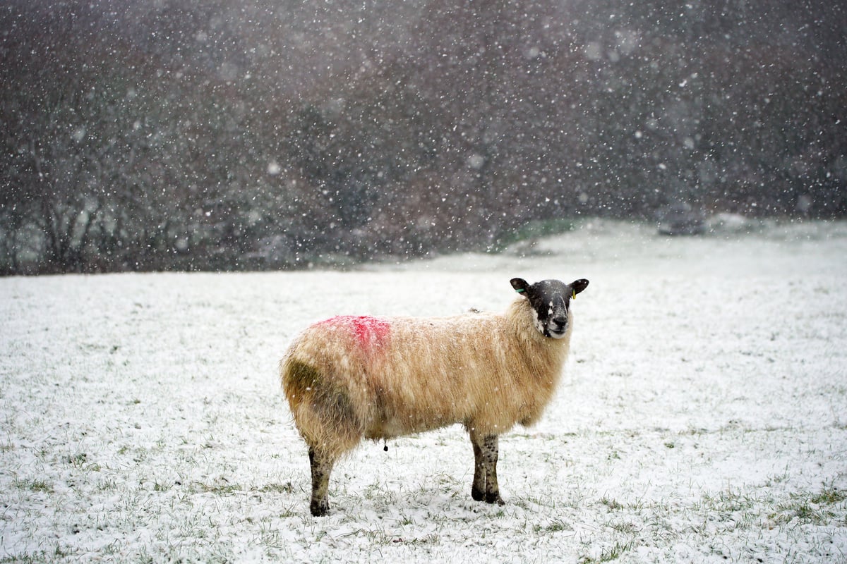 Hundreds of schools closed across northern Scotland as weather warning extended