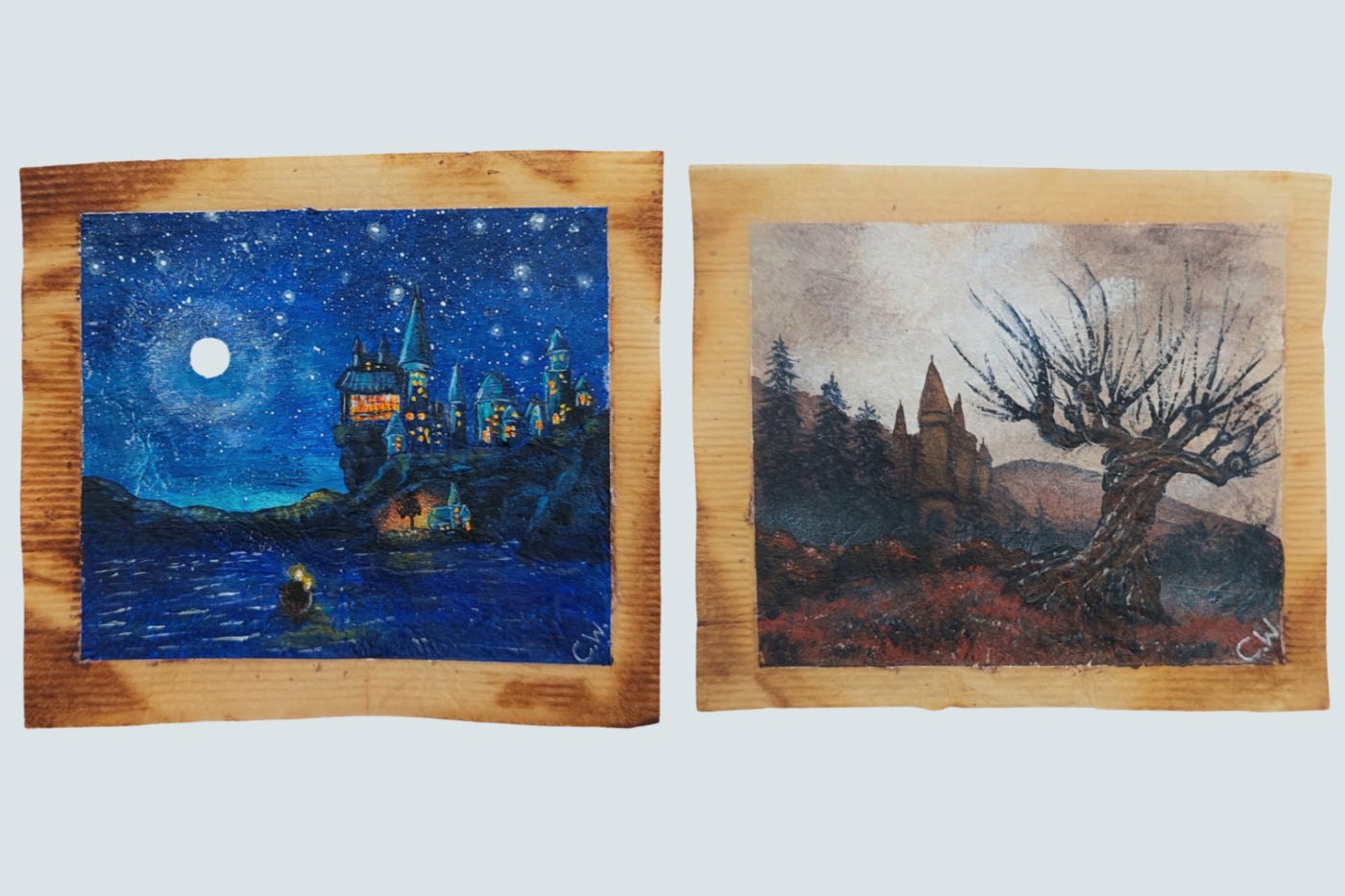 Artist captures magic of Harry Potter and The Lord of the Rings on used tea bags