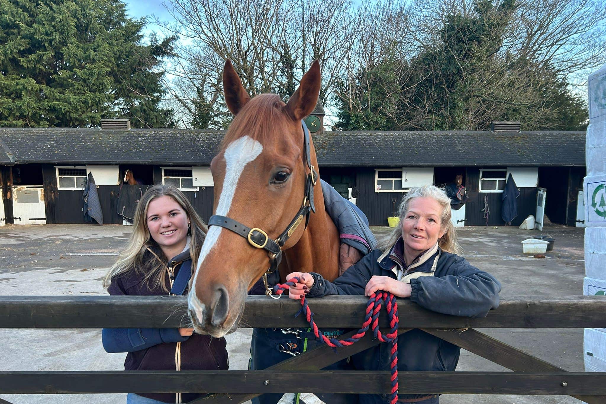 Racehorse given royal approval enjoys socialising with owners down the pub