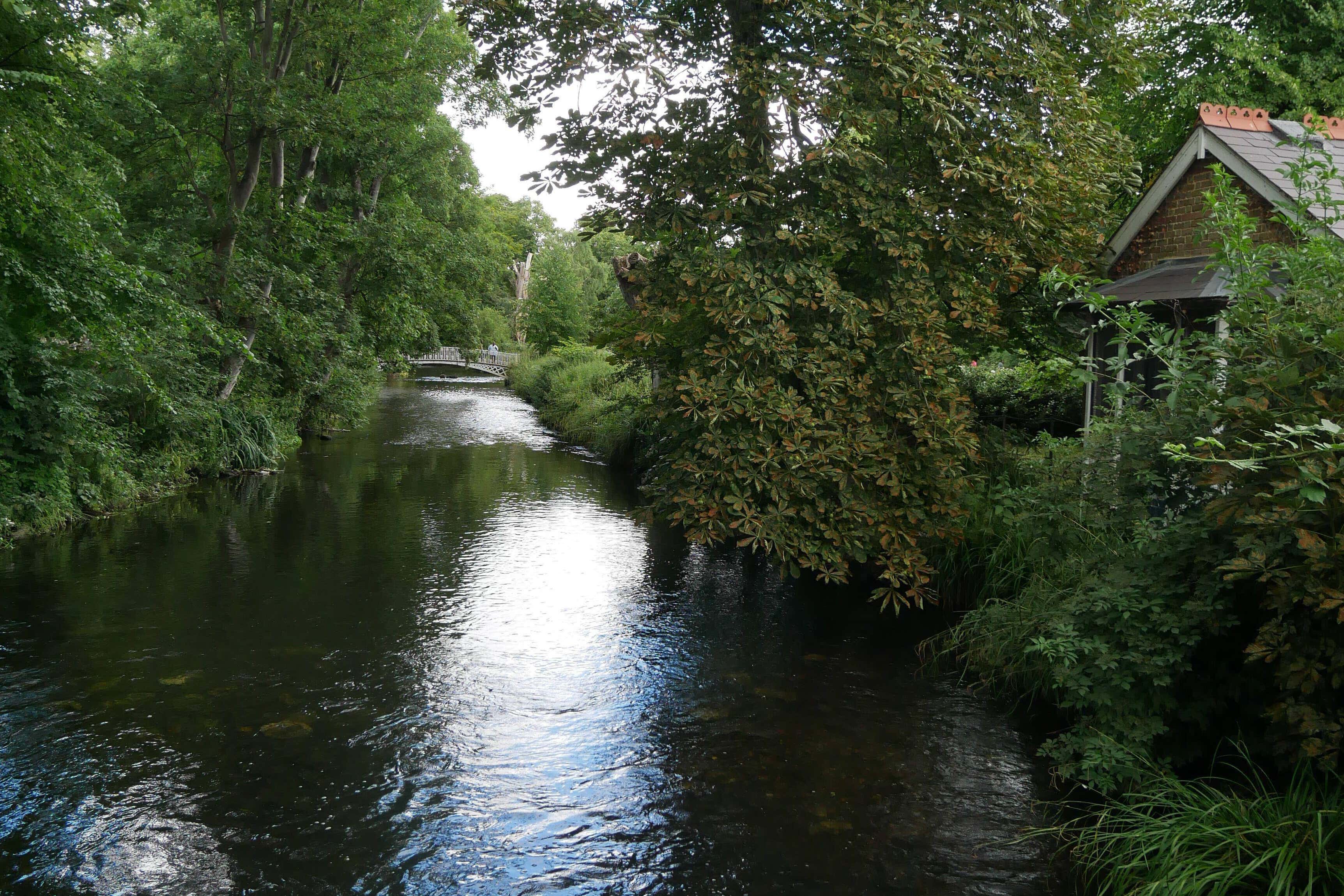 Urban rivers ‘vulnerable’ to pollution, MP warns after ‘massive’ spill