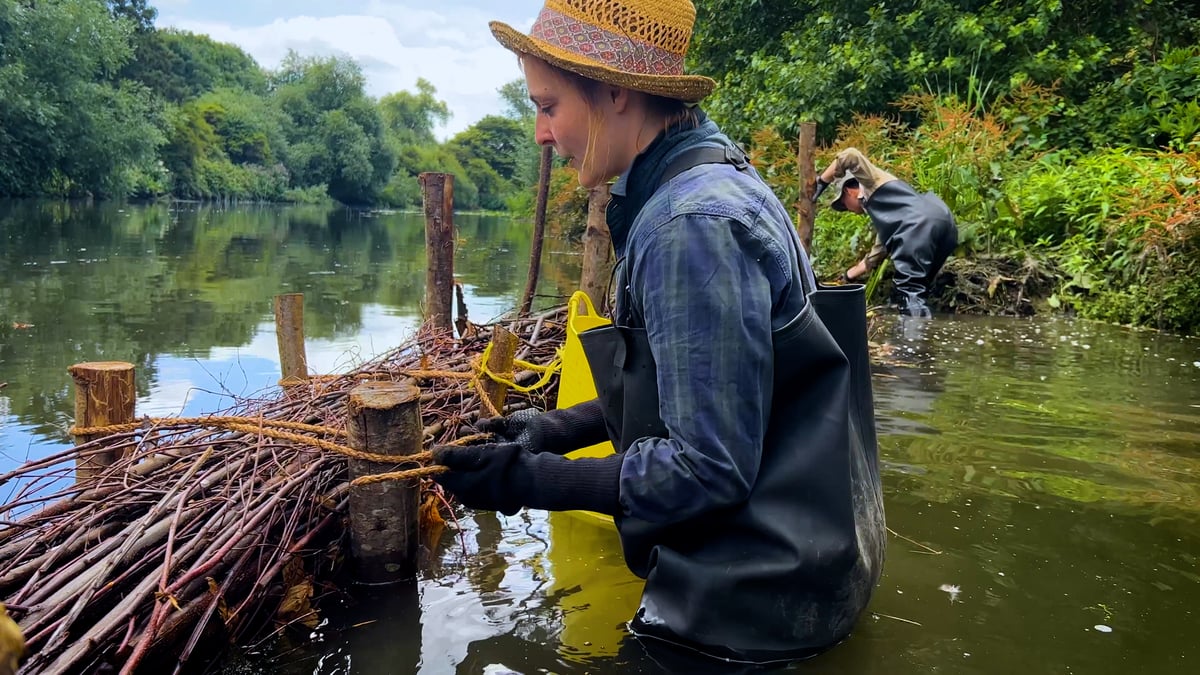 Wildlife returns to Hackney Marshes after community-led rewilding project