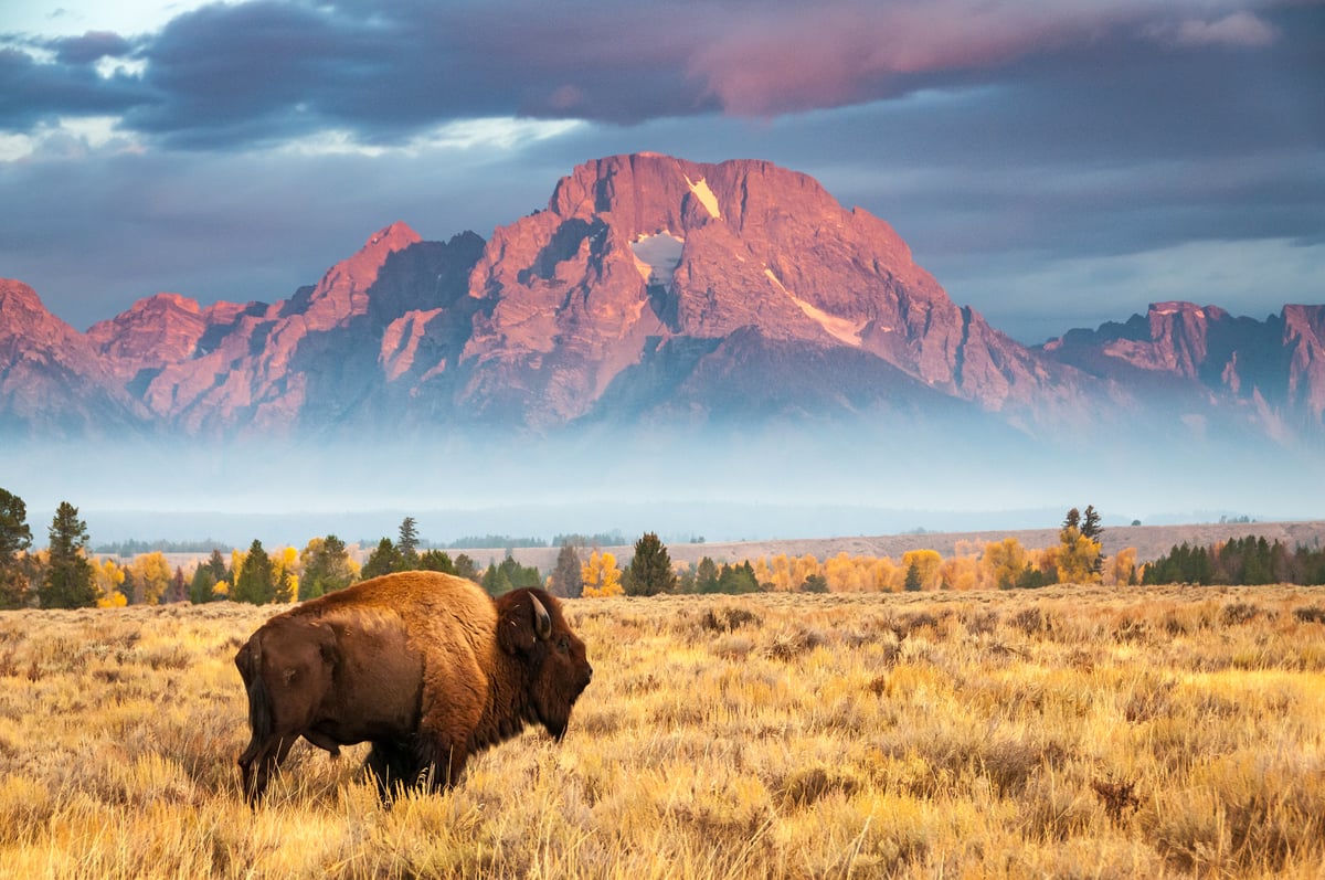 Jack Reacher author Lee Child's guide to the wild west of Wyoming where he lives