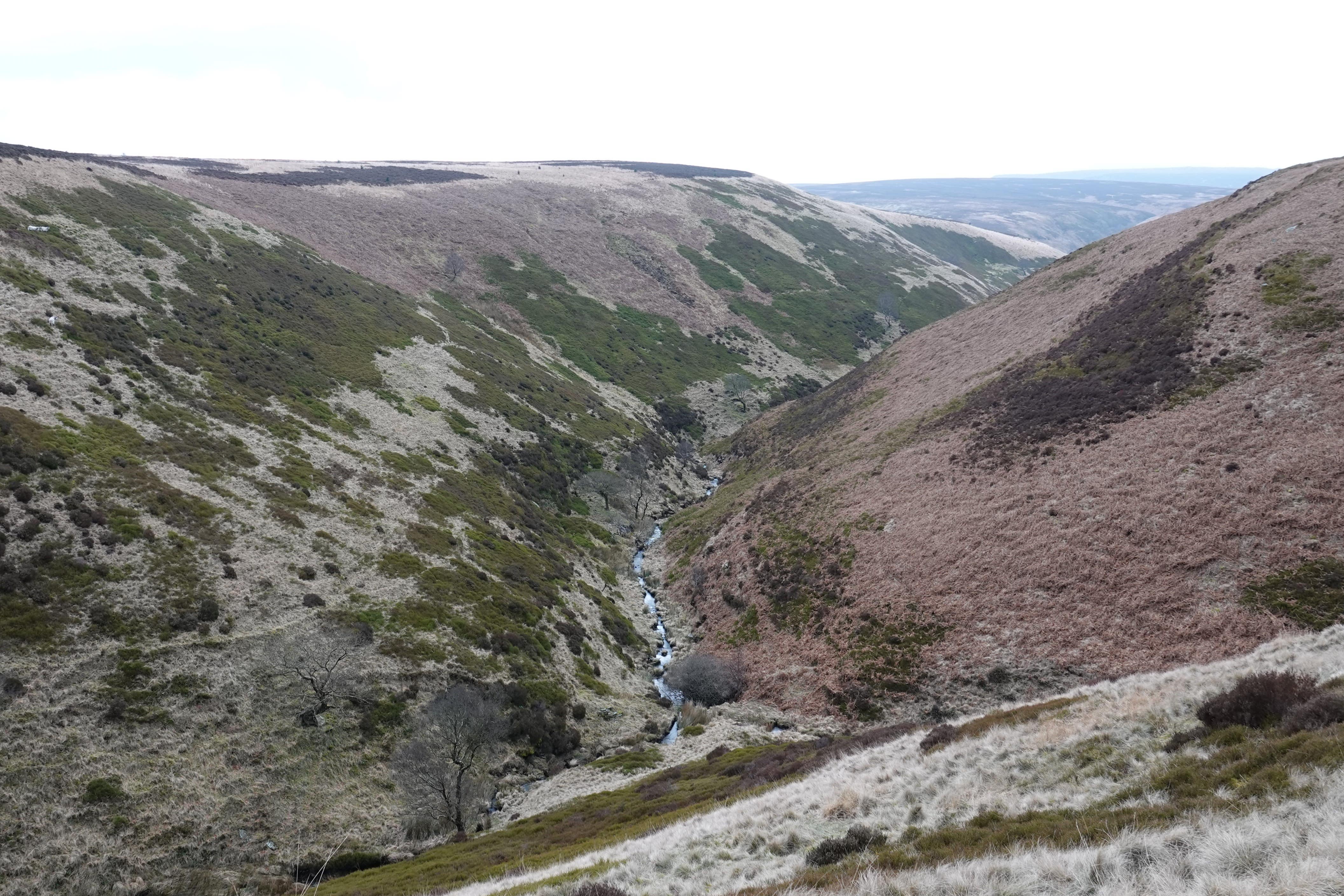 £5m project to deliver large-scale nature boost across National Trust land
