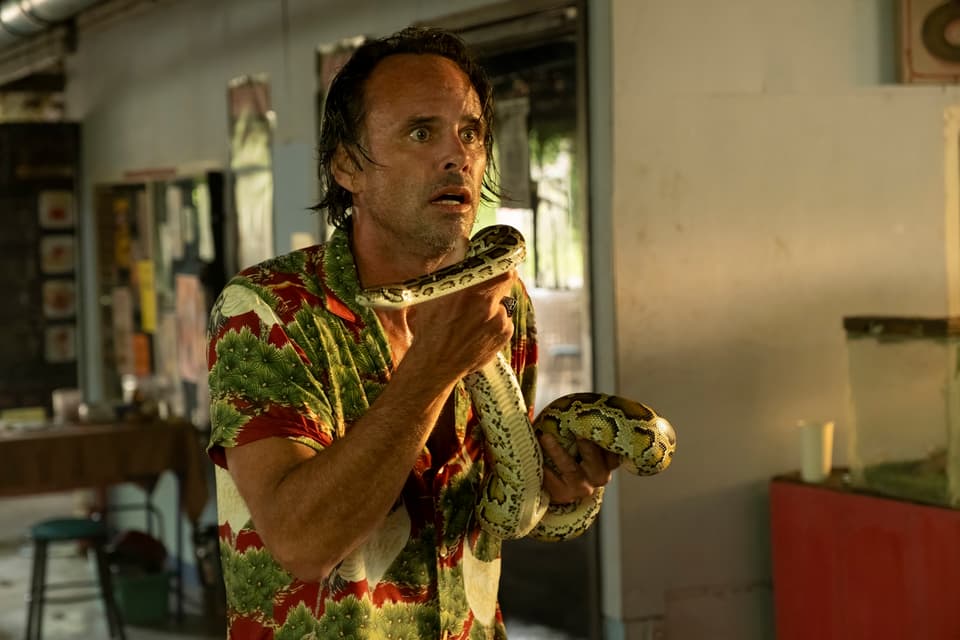 the white lotus season three outfits