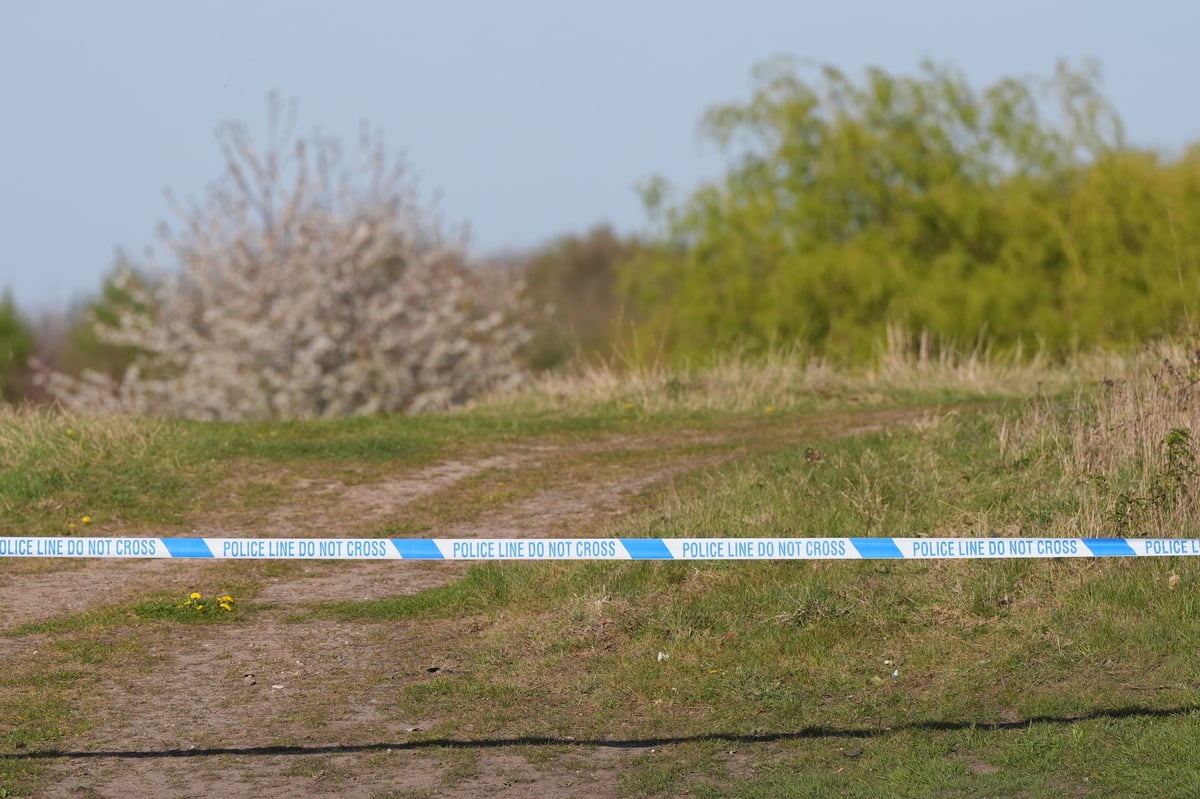 Husband ‘watched in horror’ as van killed wife on golf course after police chase