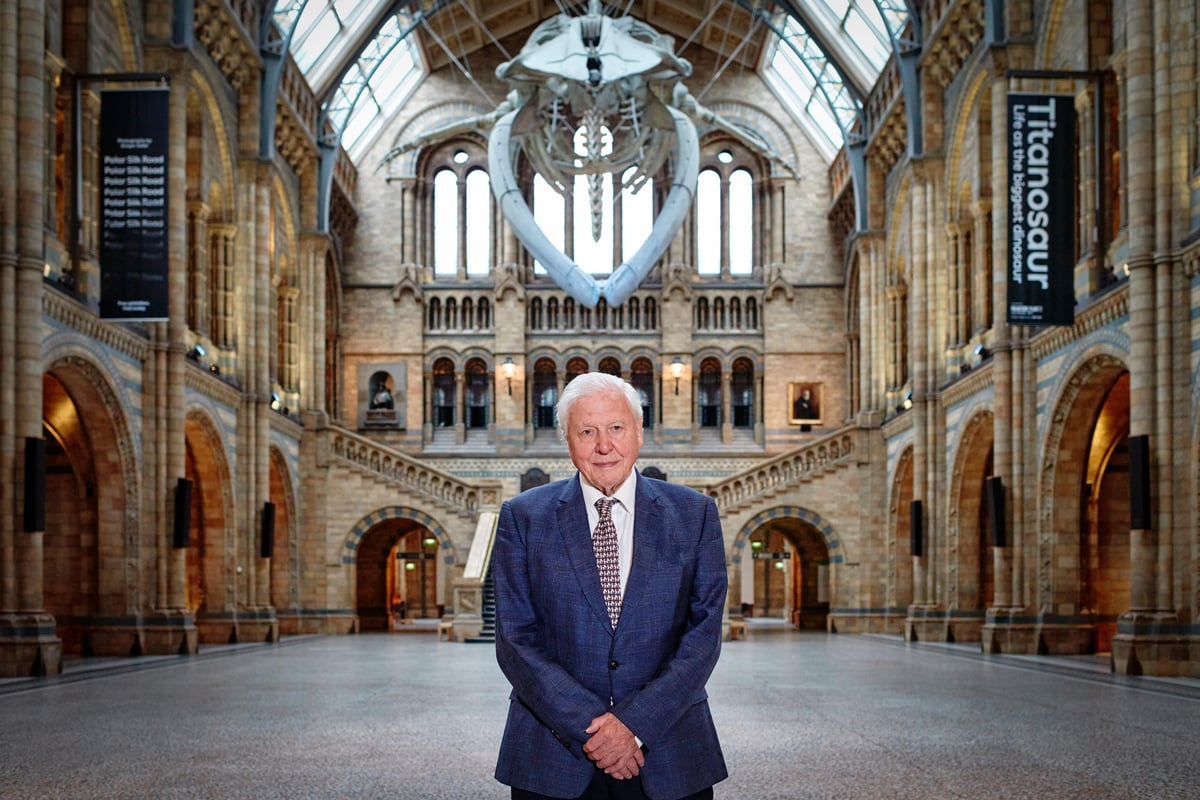 Five of the best David Attenborough shows to watch