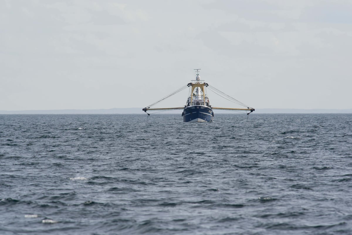 Ministers accused of ‘still breaking the law’ over fishing licences
