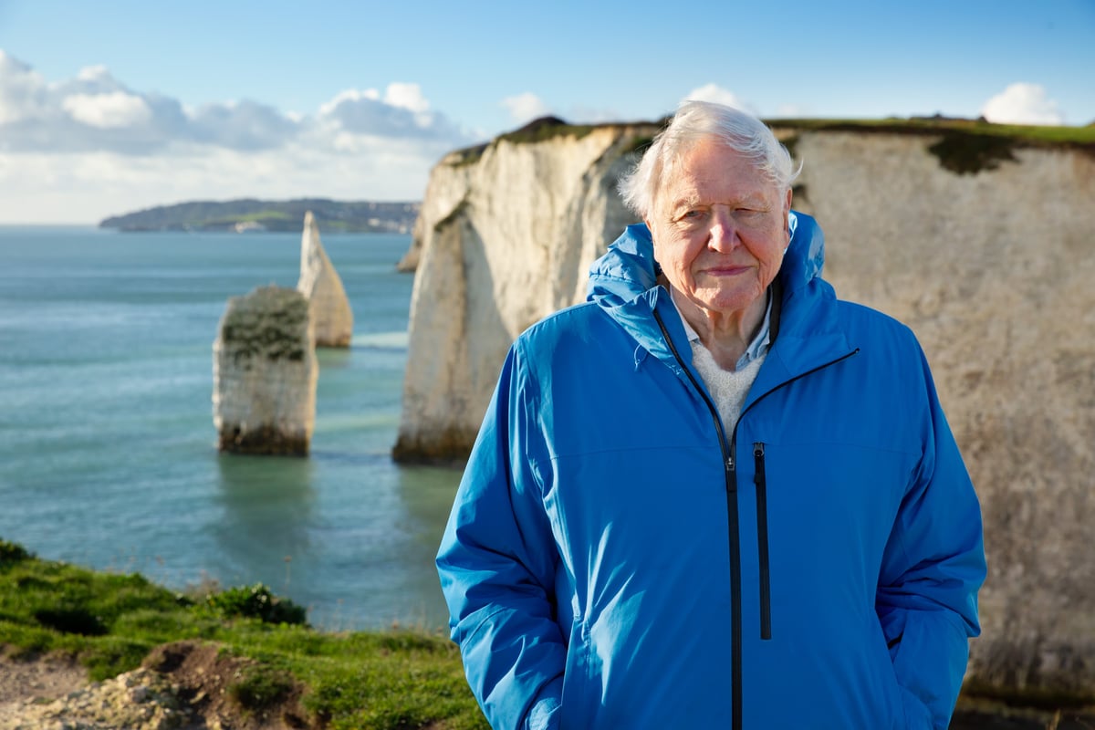 Sir David Attenborough reveals to Prince William he nearly drowned while scuba diving in 1950s