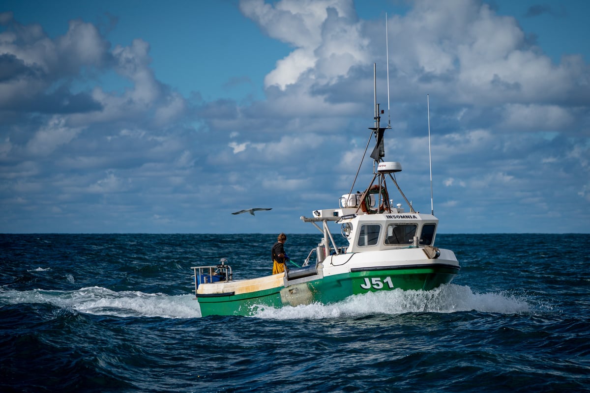 'Horror show': Angry fisherman react to new UK-EU deal as Nigel Farage warns of 'death to industry'