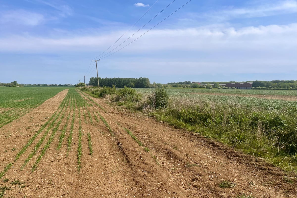 Farming budget ‘must be protected as drought looms’