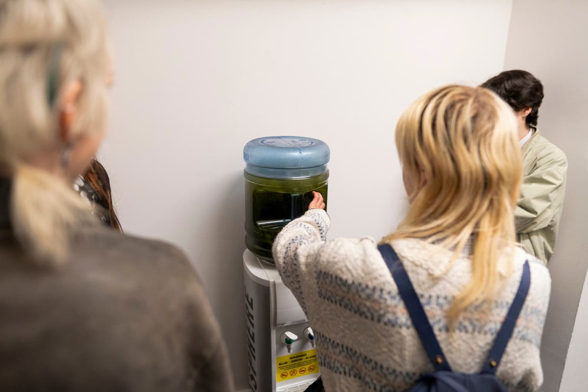 Blue-green algae from Lough Neagh displayed during Belfast Photo Festival