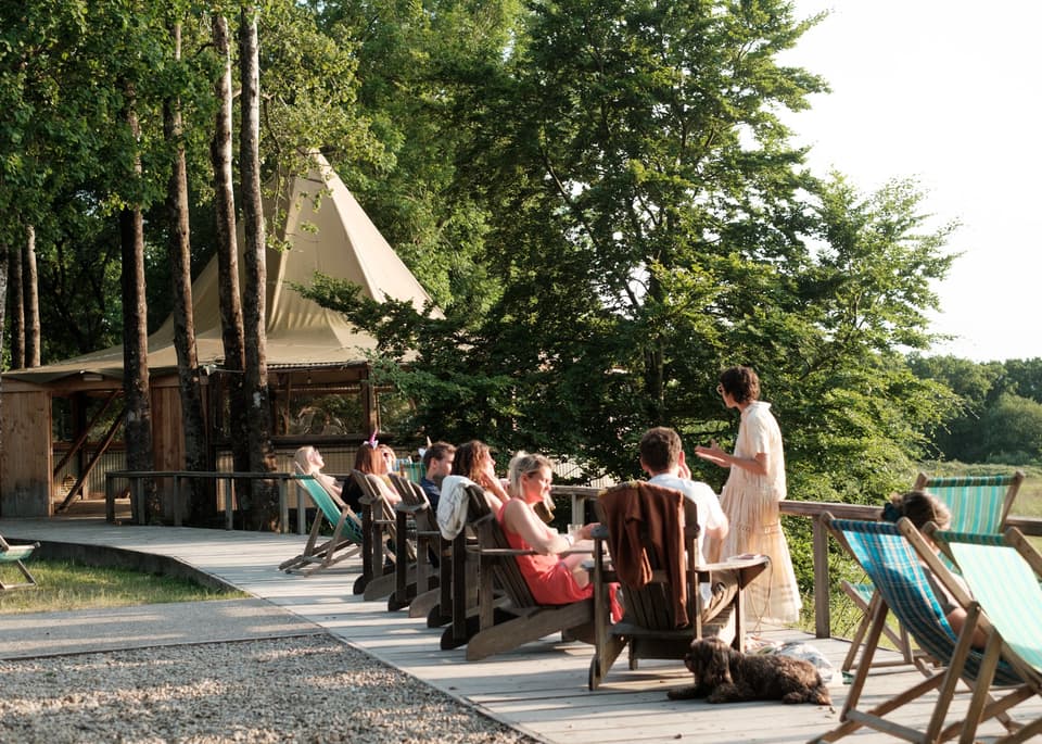 fforest in the summer