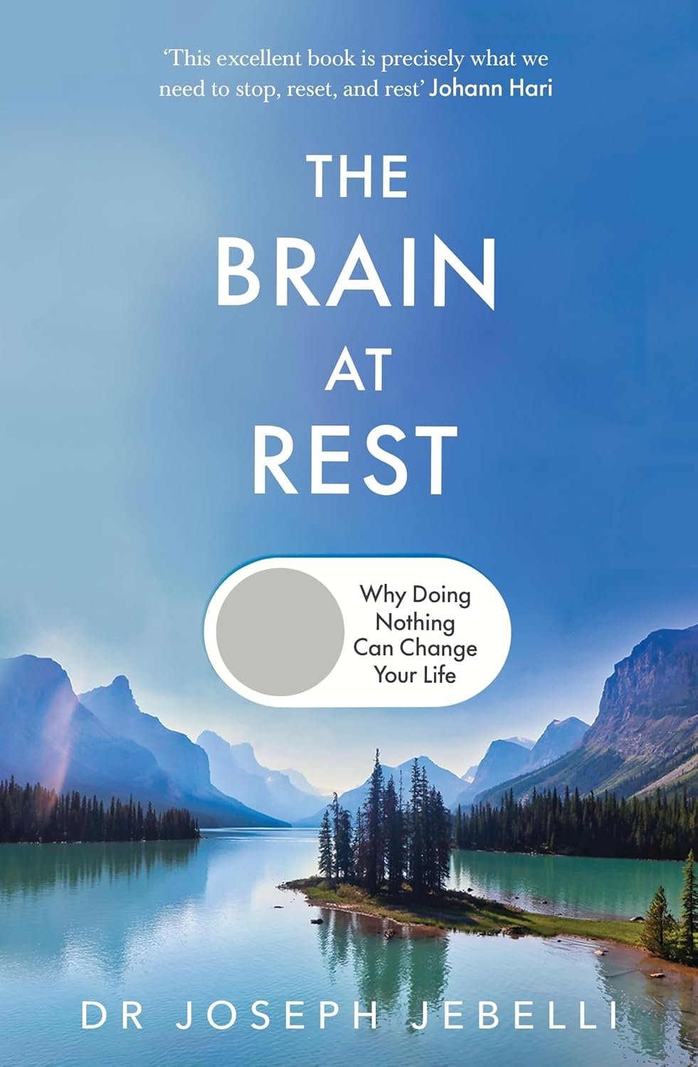 The Brain at Rest book review: Can not working help us do more?