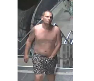 Police hunt topless man after woman sexually assaulted on Jubilee line train