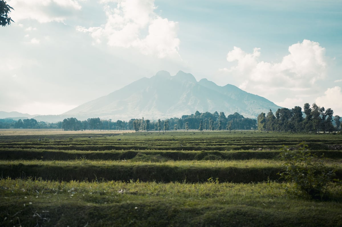 Why Rwanda needs to be on your bucket list: a first-timer’s guide to ‘the Land of a Thousand Hills’ 