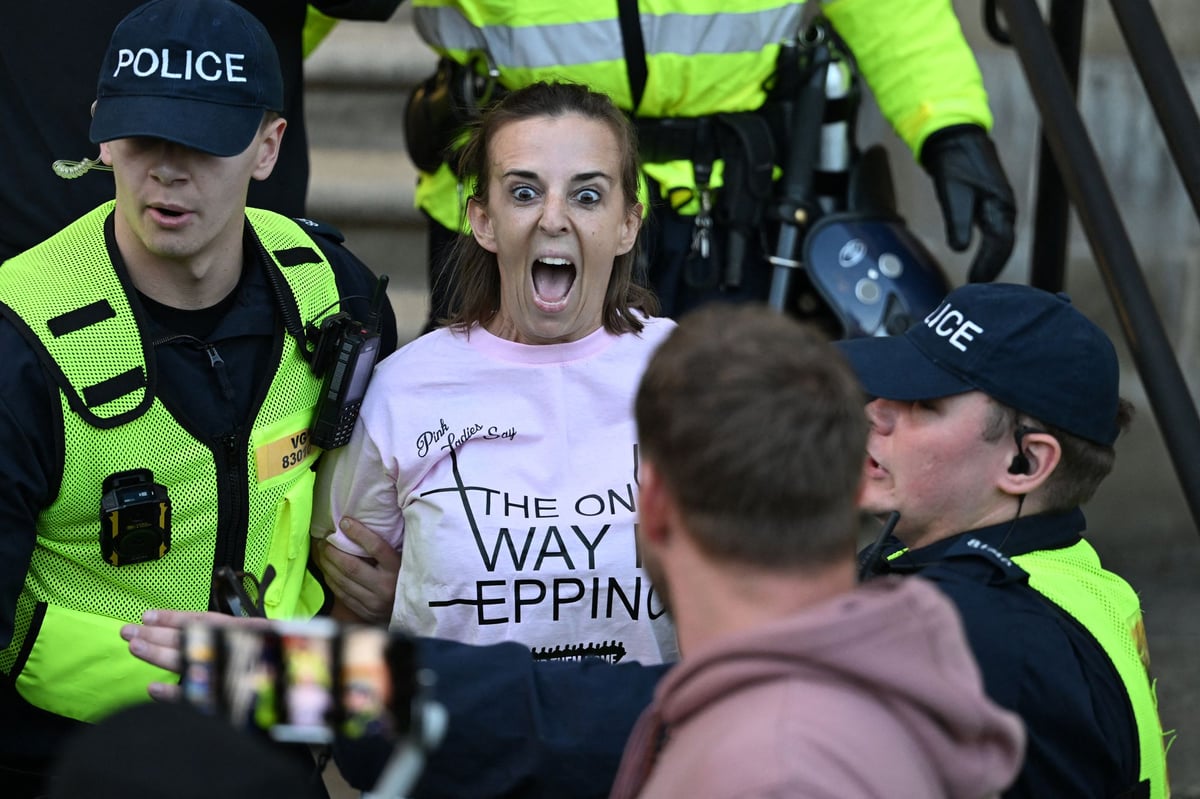 Mother who flew Union Jack from council building at Epping protest hits out at 'disgusting' arrest 