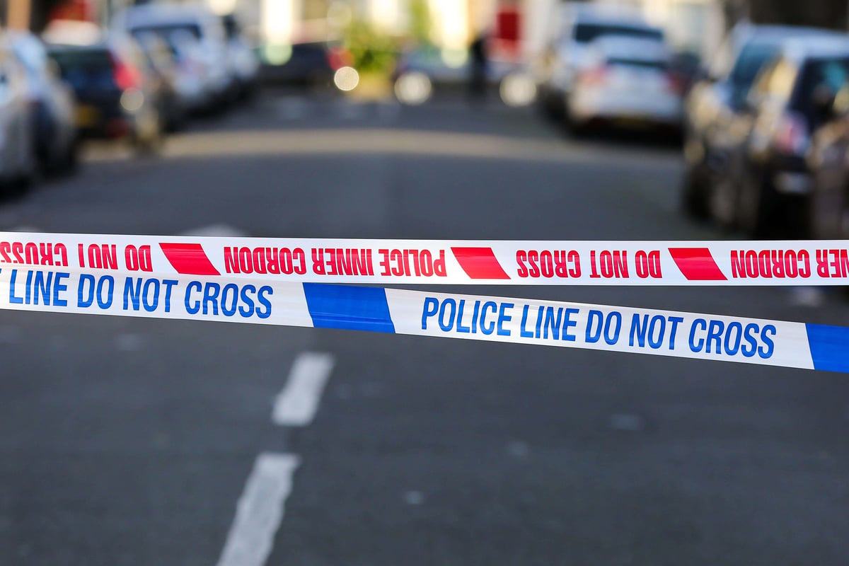 Murder probe launched as man, 35, dies in double stabbing in east London