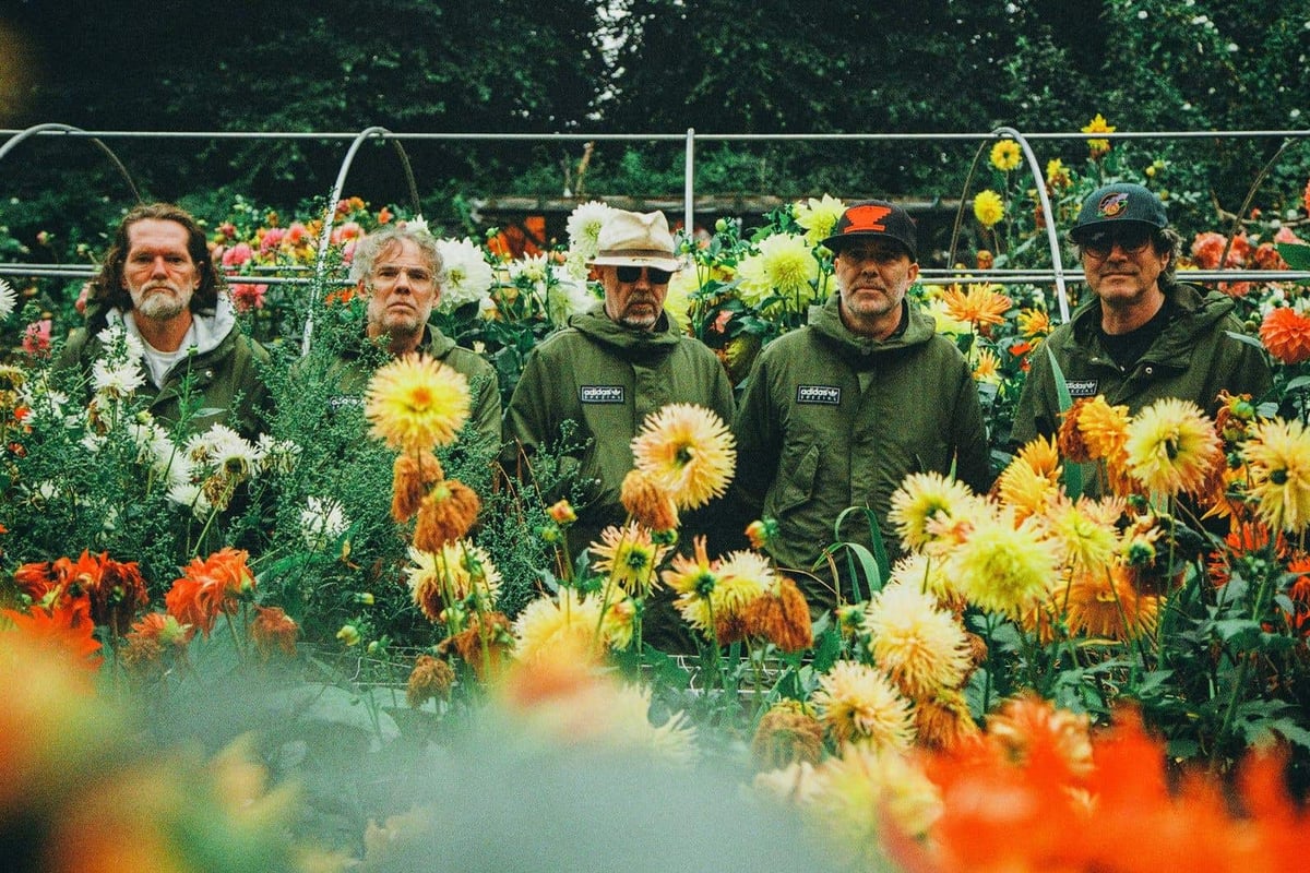 Super Furry Animals at O2 Academy Brixton: A joyously irrepressible experience