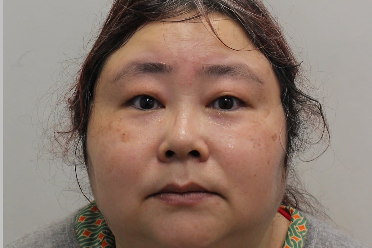 Britain and China 'set to battle over BitQueen's fortune' after £5 billion cryptocurrency fraud seizure