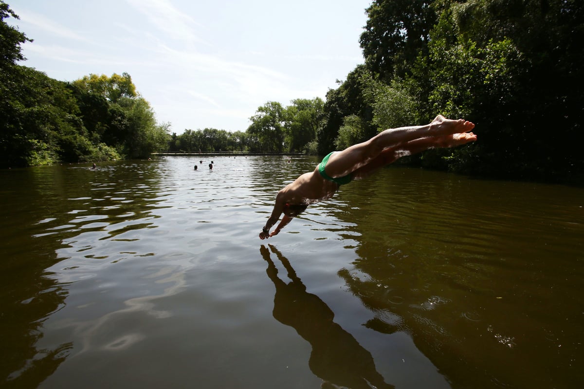 Should trans people be able to access Hampstead Heath ladies' pond? Survey launched following Supreme Court ruling