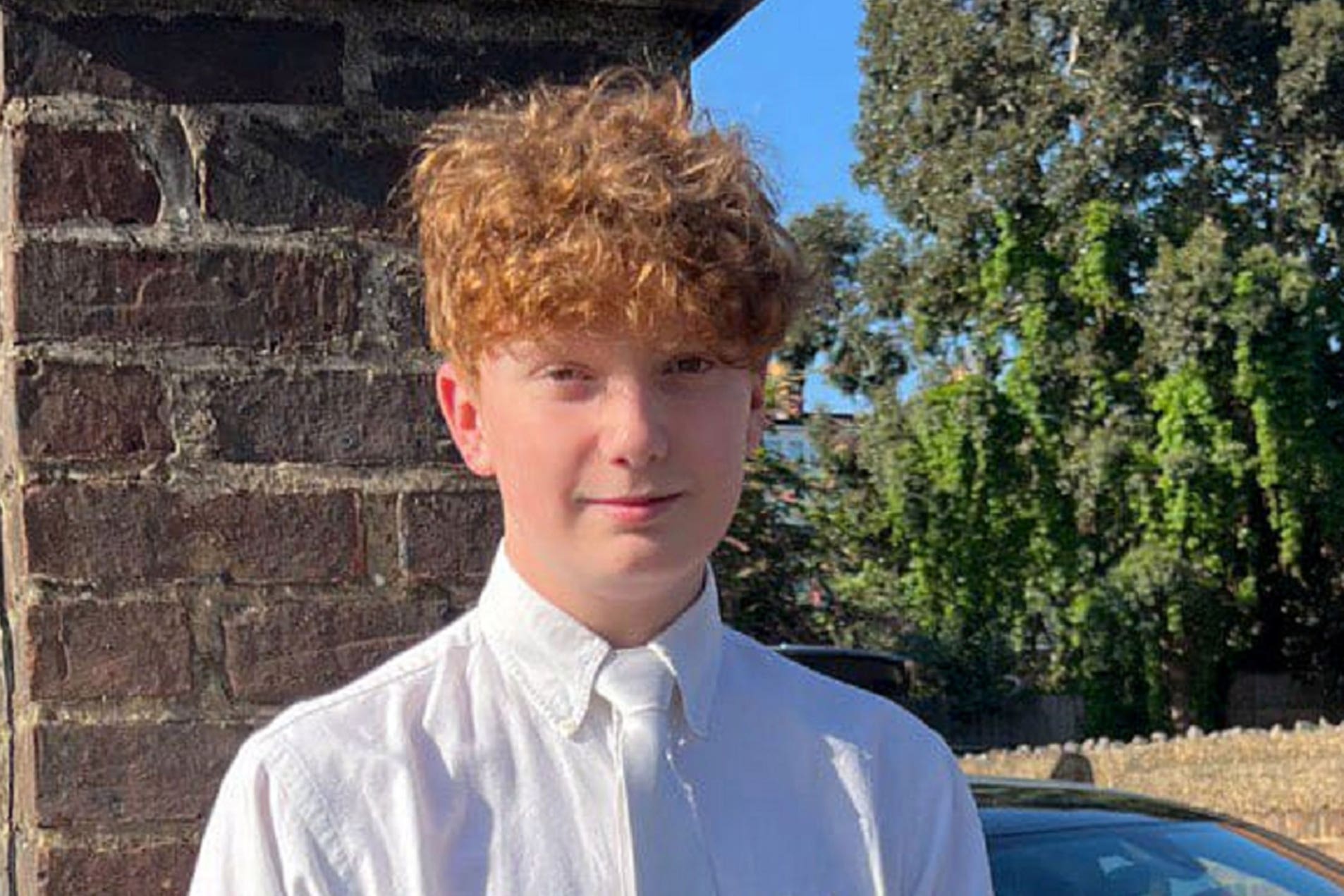 Teenager guilty of Primrose Hill murder of 16-year-old Harry Pitman