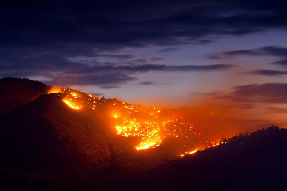 Carbon dioxide levels in atmosphere climb at record rate to new highs in 2024