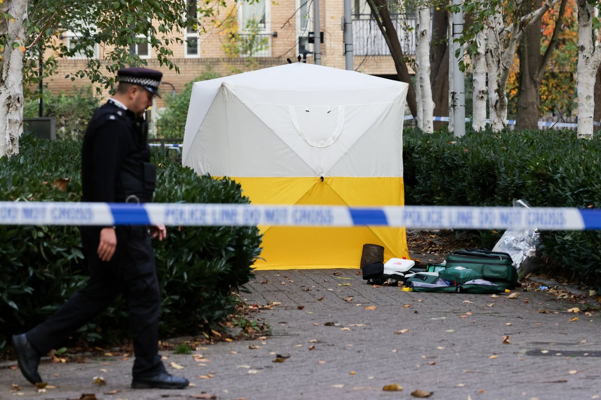 Islington stabbing horror: Young woman fighting for life after attack in north London park as man arrested
