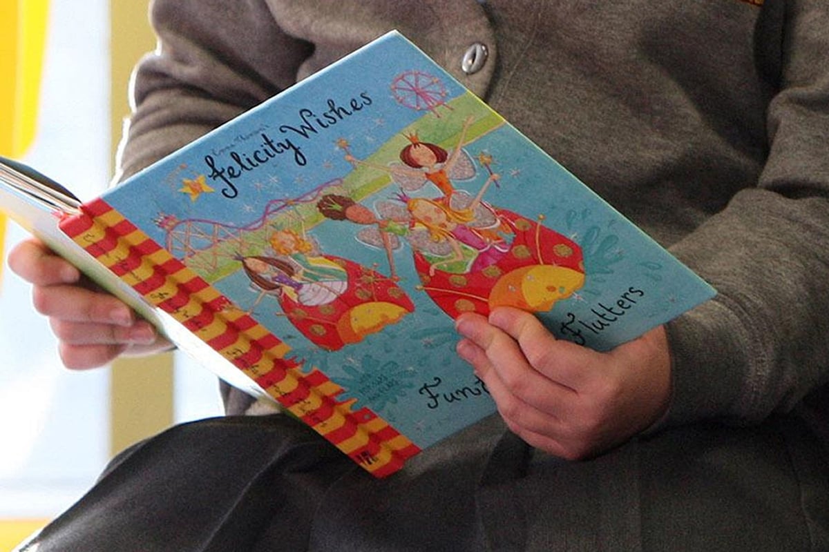 MPs launch inquiry amid warning of ‘generational shift’ in reading for pleasure