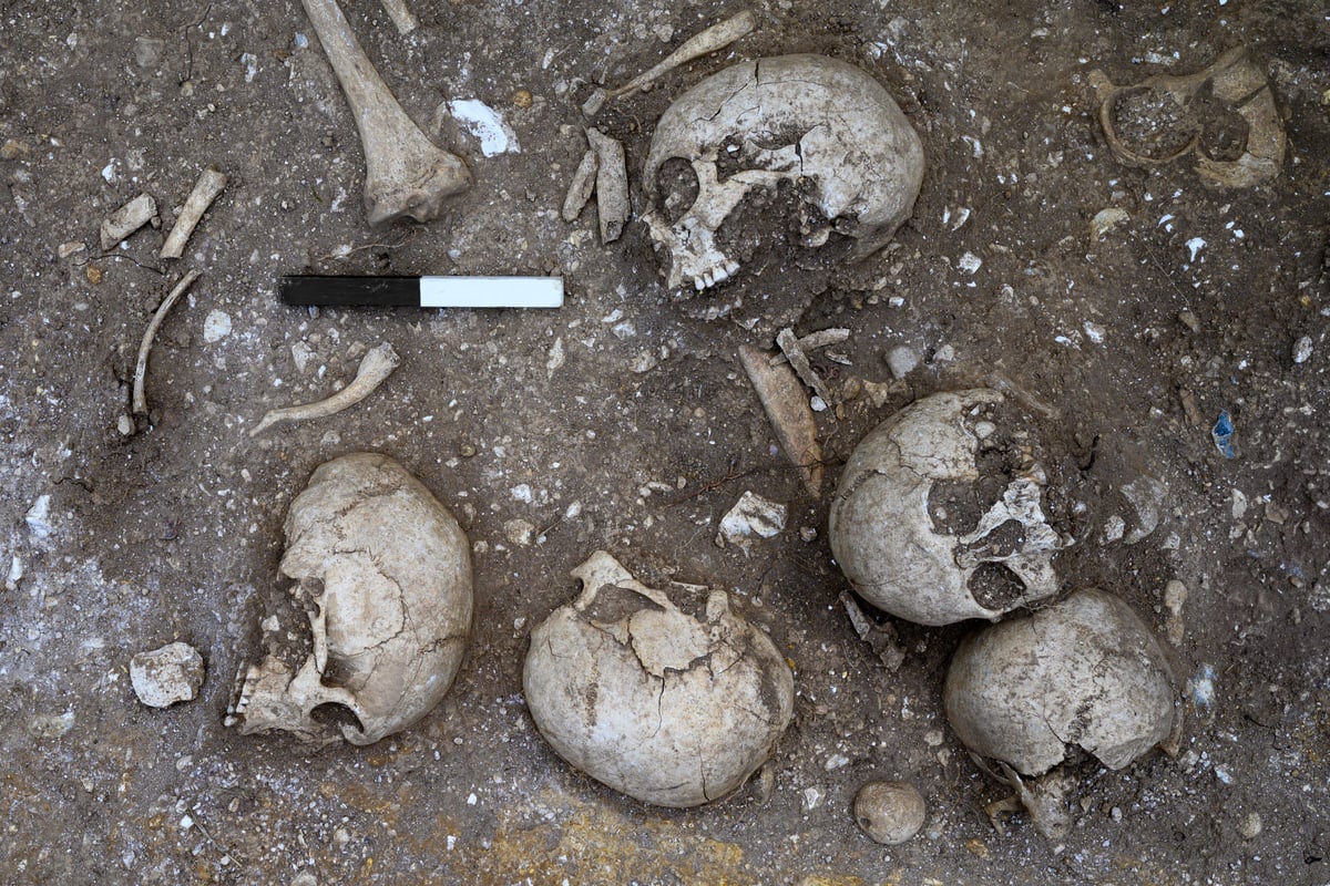 Cambridge students on training dig help unearth possible execution pit